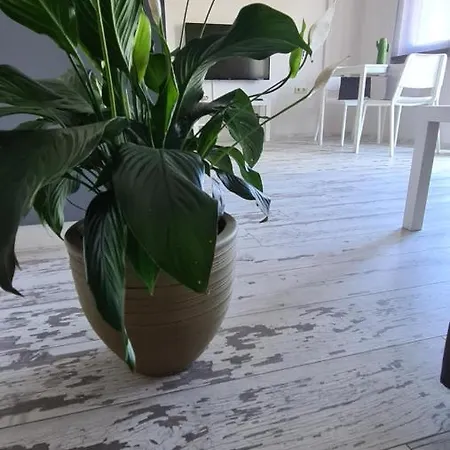 아파트 Flora